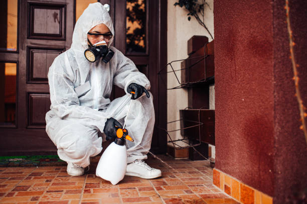 Attic and Crawl Space Rodent Treatment in Laurel
